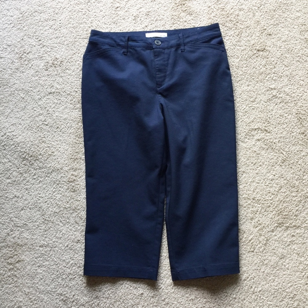 Women’s EUC Gloria Vanderbilt Anita Blue Capris